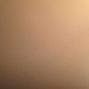 Meet your Posher, Louise